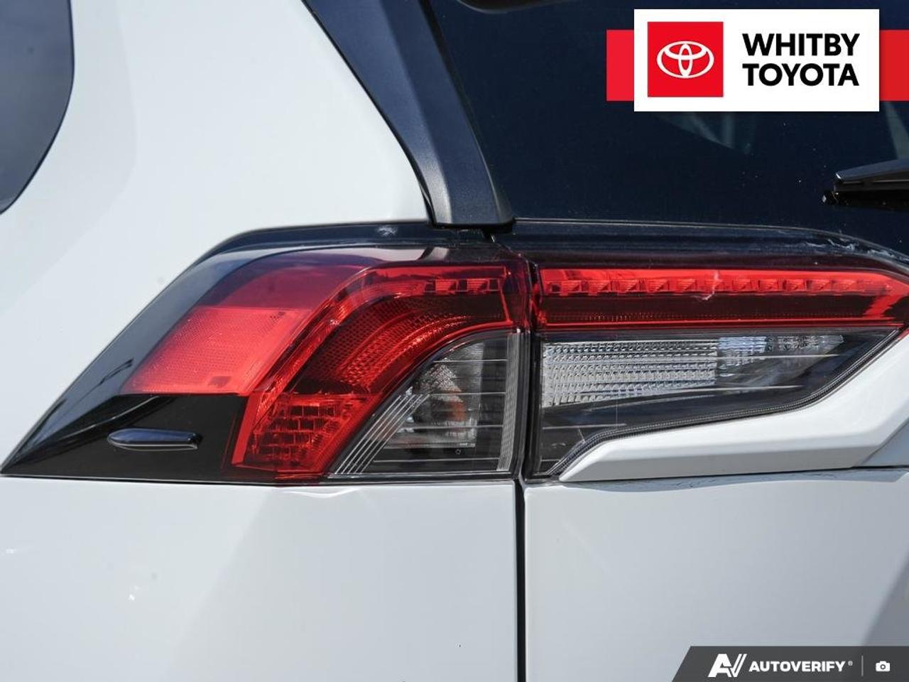 2020 Toyota RAV4 XLE 2.5L Photo