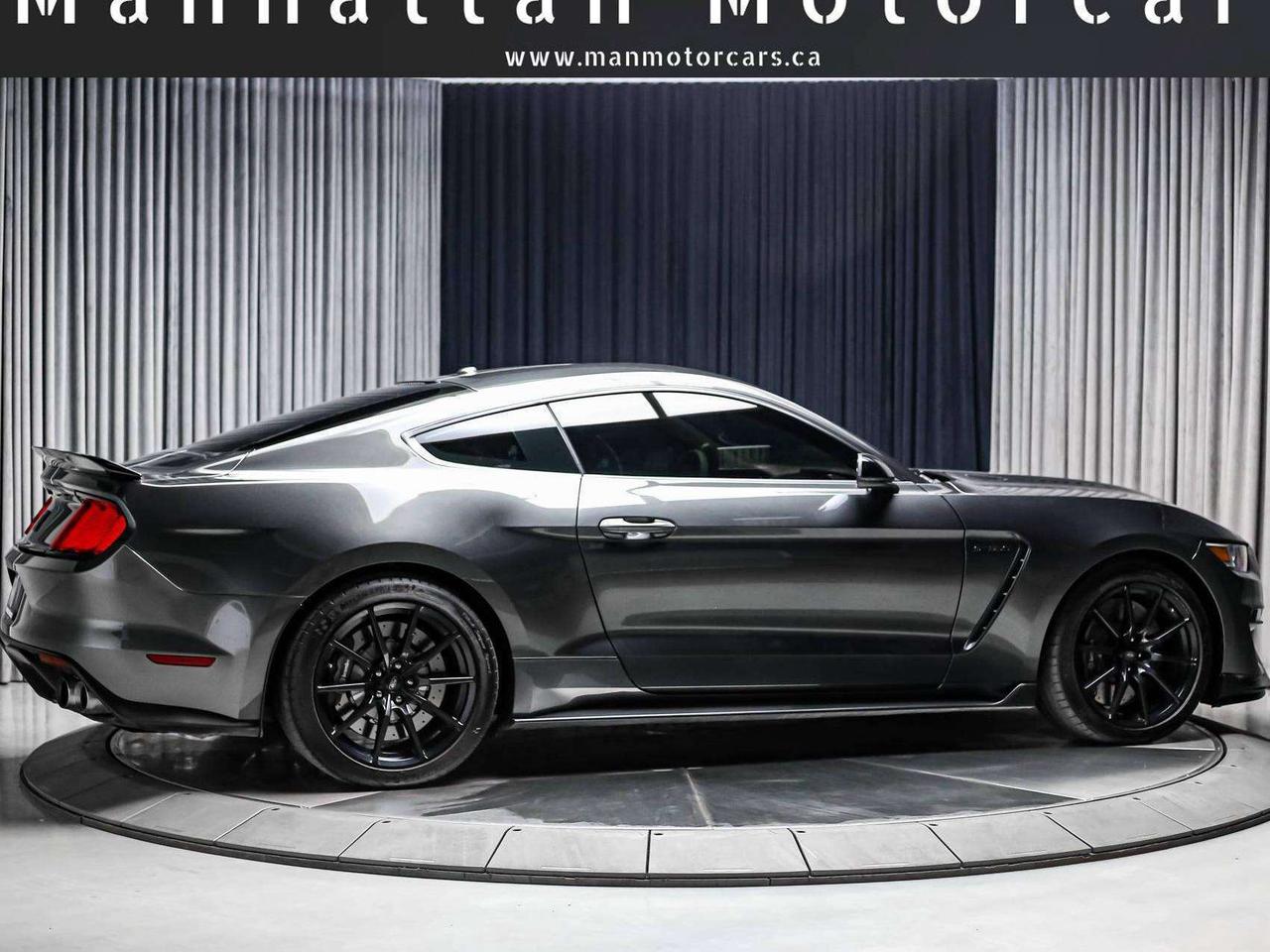 2017 Ford Mustang SHELBY GT350 5.2L V8 526HP  CONVENIENCEPKG NAV CAM Photo