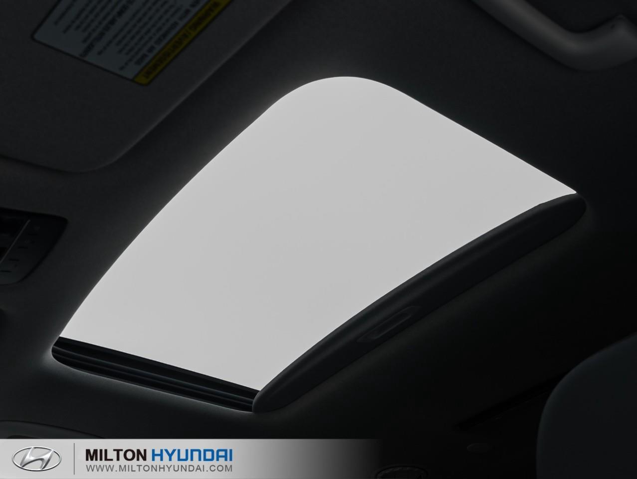 2027 Hyundai Palisade Hybrid  Photo