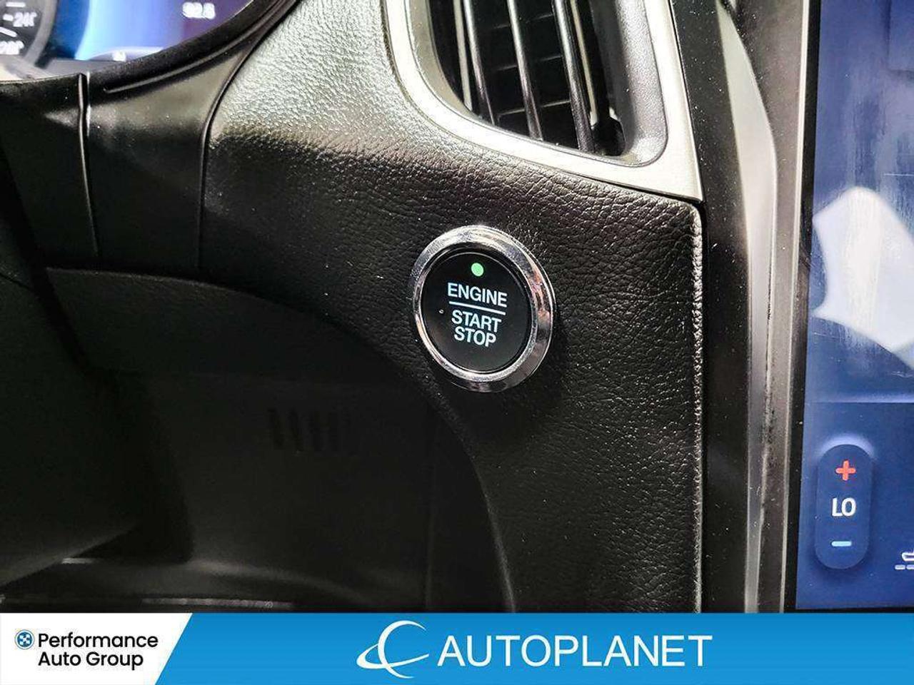 2024 Ford Edge SEL AWD, Back Up Cam, Apple CarPlay! Photo