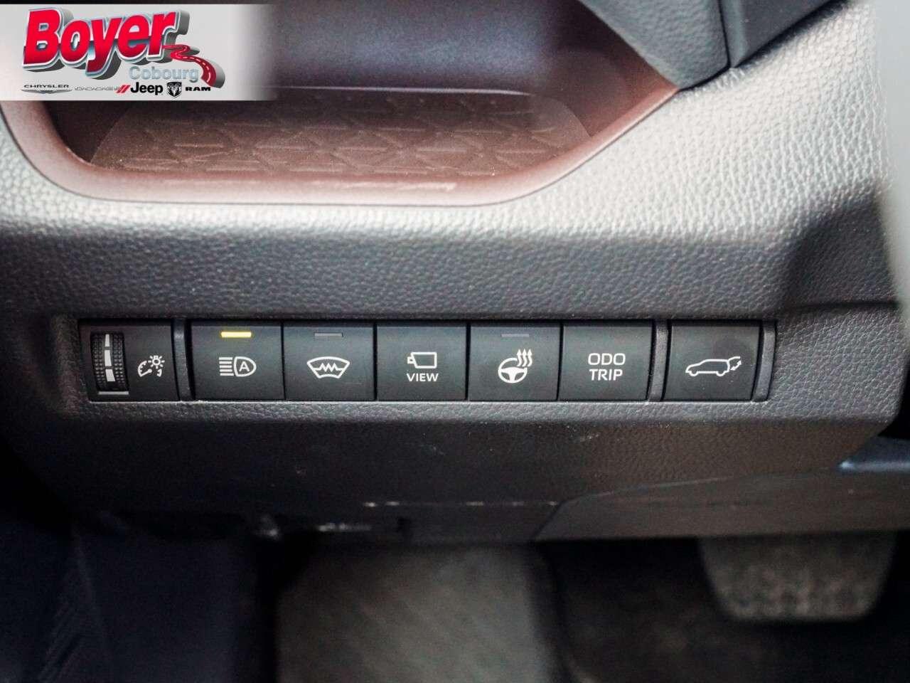 2025 Toyota RAV4 LIMITED AWD Photo