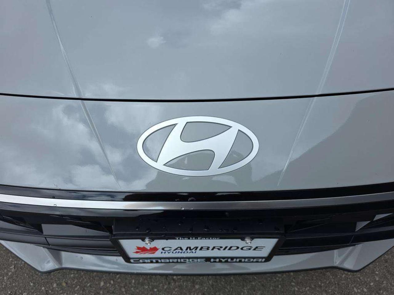 2025 Hyundai Elantra Luxury   NO ACCIDENTS LEATHER BOSE 4.5L/100KM Photo