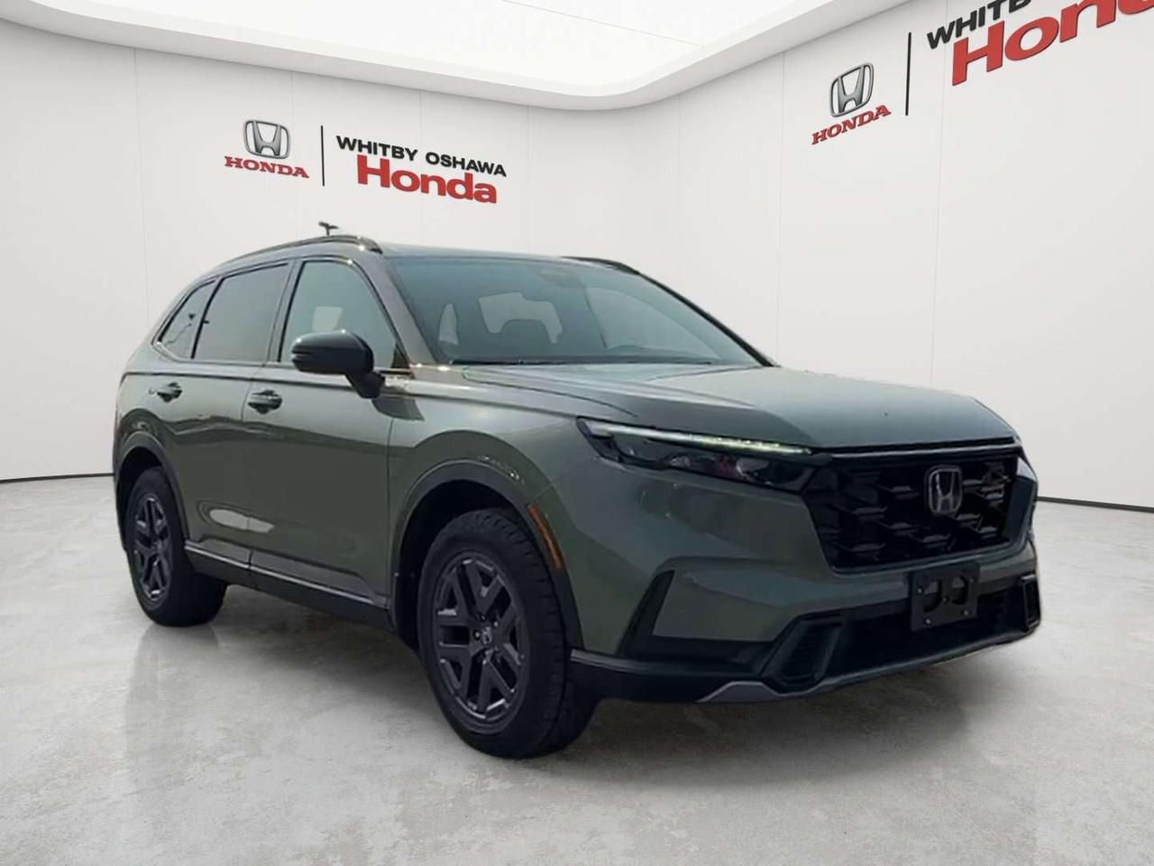 2026 Honda CR-V TrailSport Photo