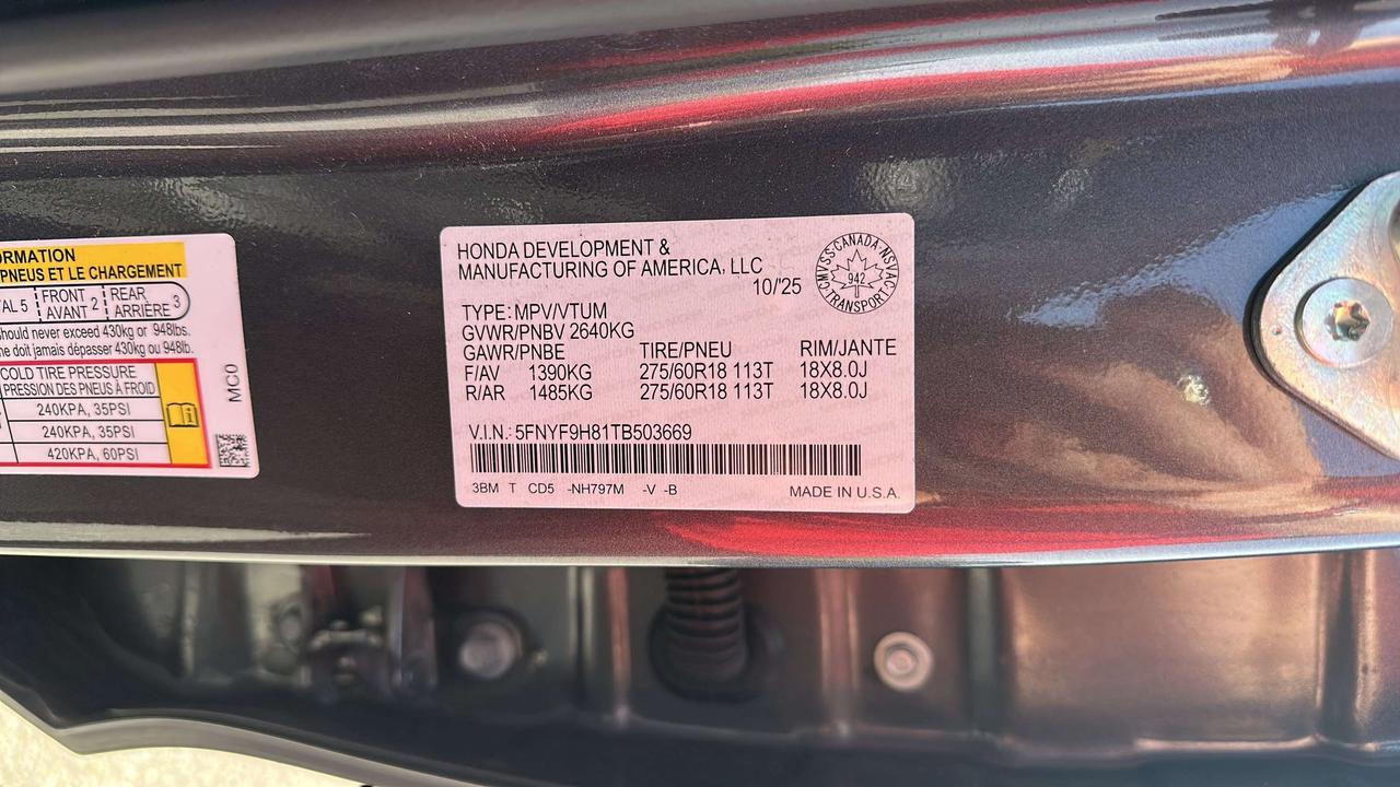 2026 Honda Passport TRAILSPORT Photo