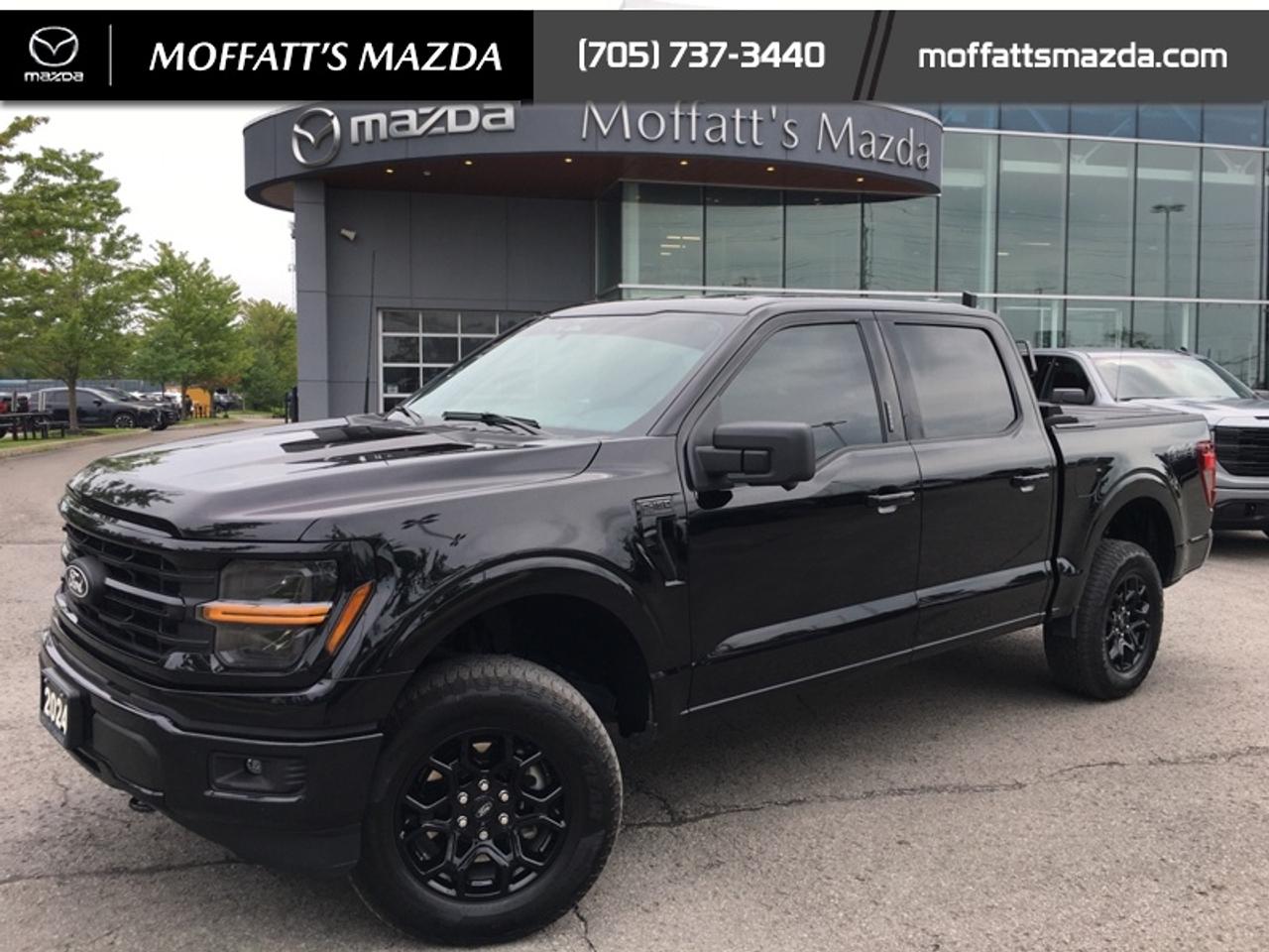 2024 Ford F-150 XLT Photo