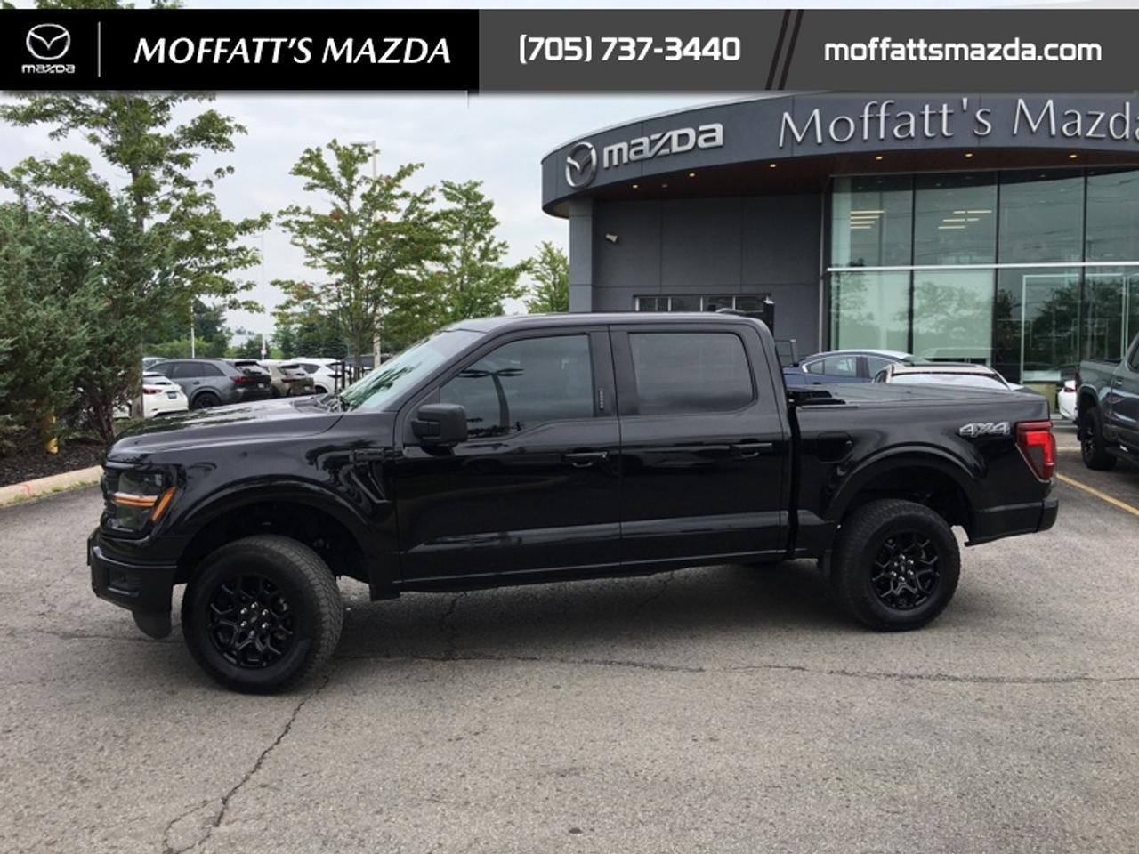 2024 Ford F-150 XLT Photo