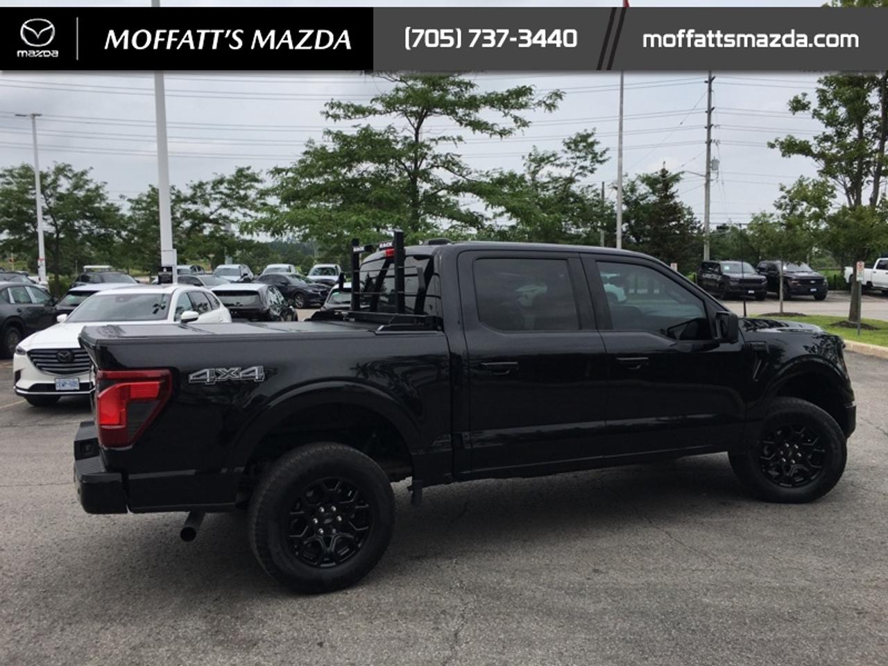 2024 Ford F-150 XLT Photo
