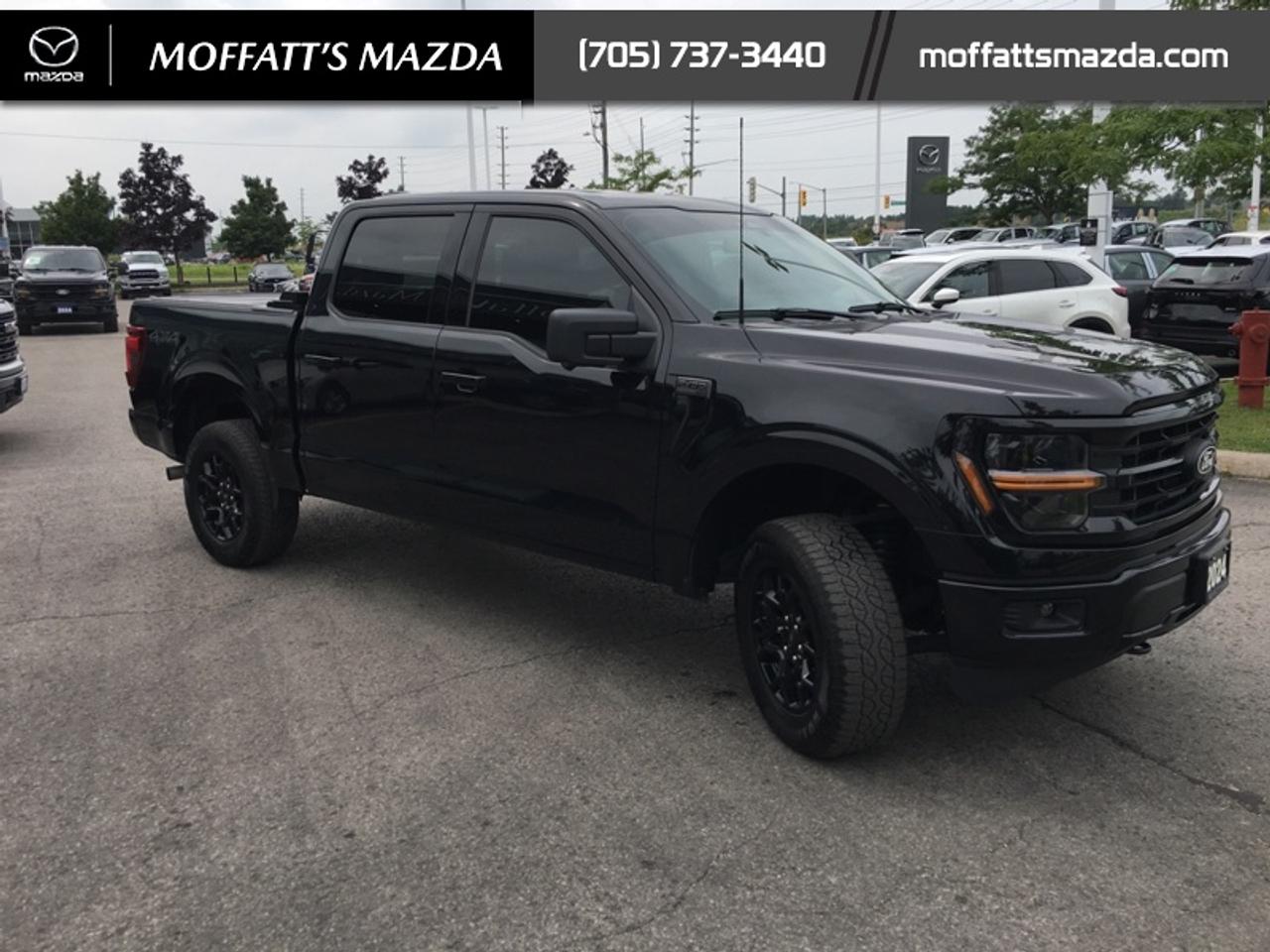 2024 Ford F-150 XLT Photo