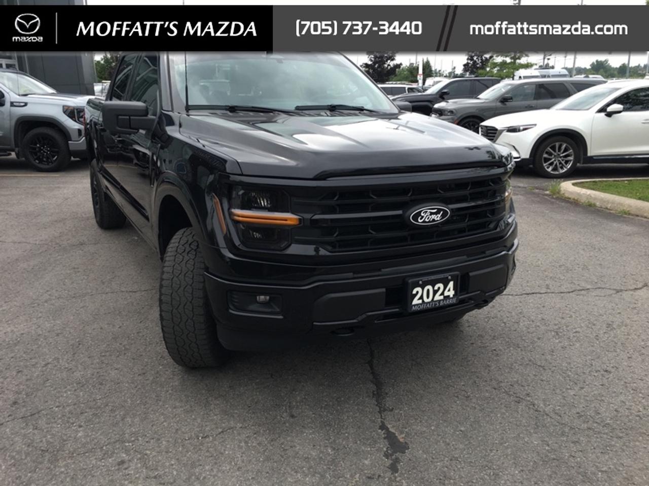 2024 Ford F-150 XLT Photo