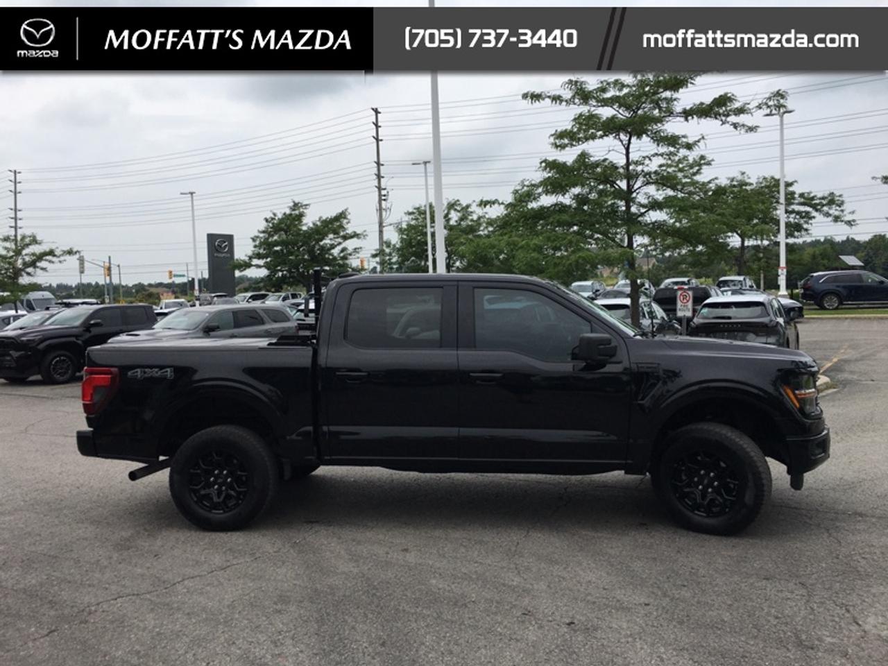 2024 Ford F-150 XLT Photo
