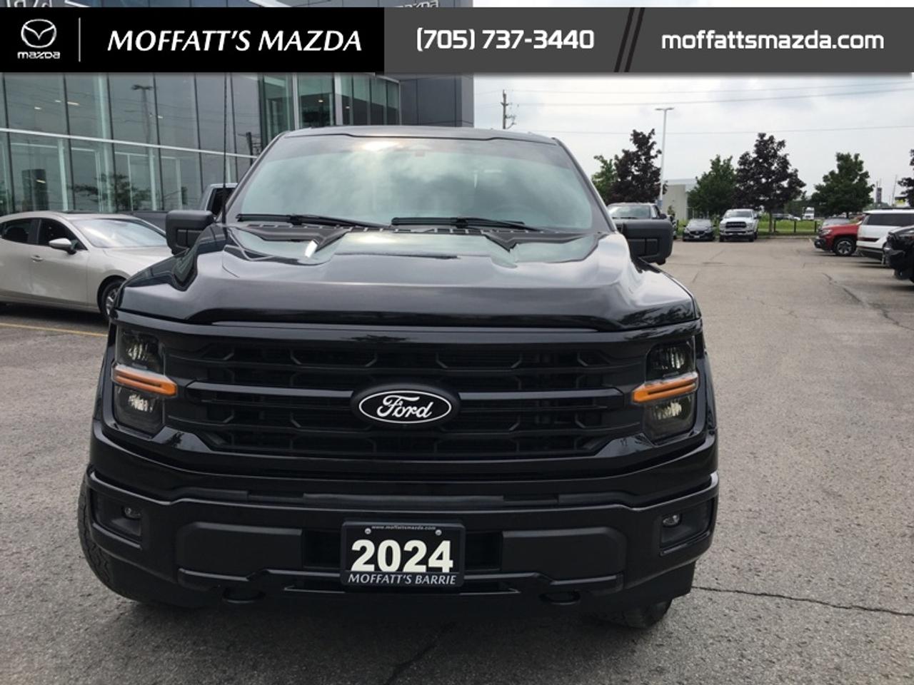 2024 Ford F-150 XLT Photo