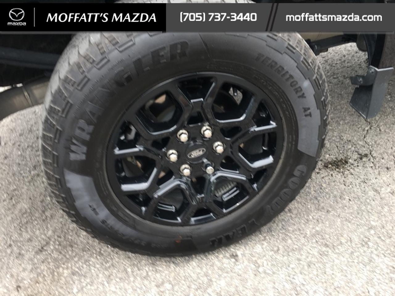 2024 Ford F-150 XLT Photo