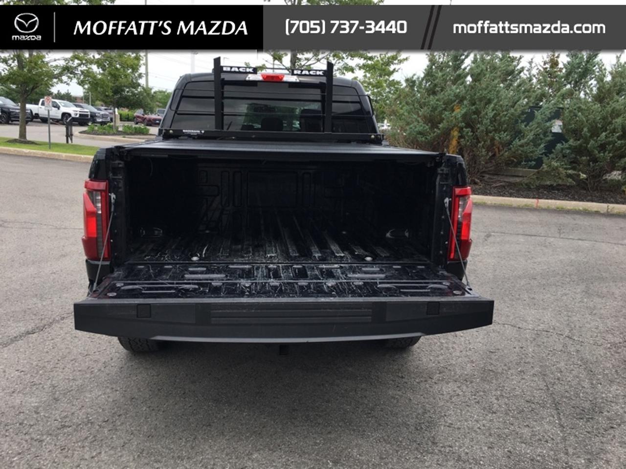 2024 Ford F-150 XLT Photo