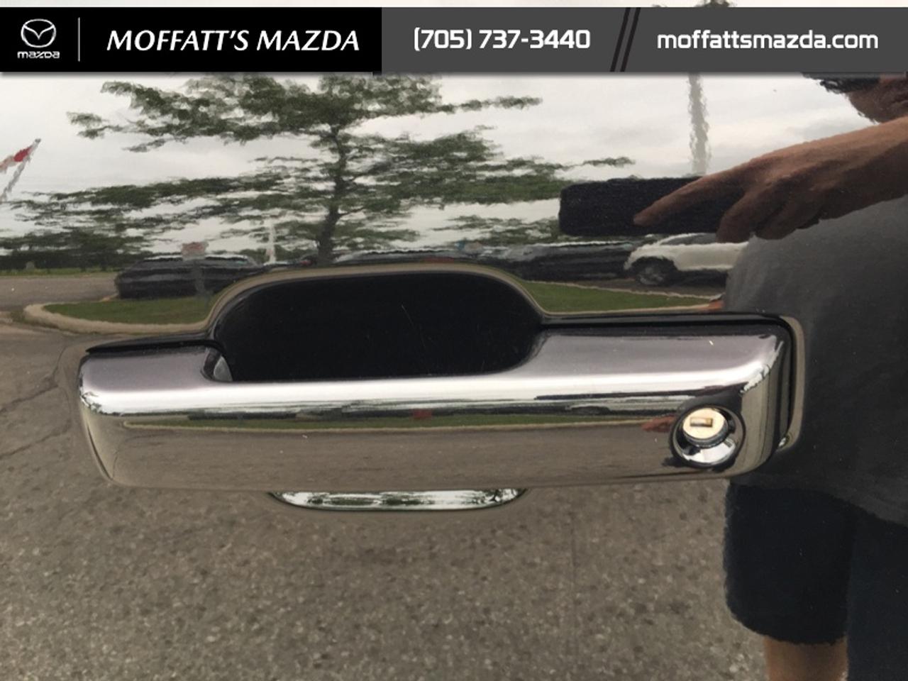 2024 Ford F-150 XLT Photo