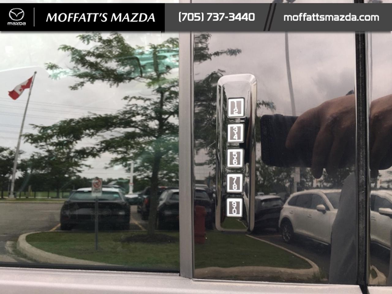 2024 Ford F-150 XLT Photo