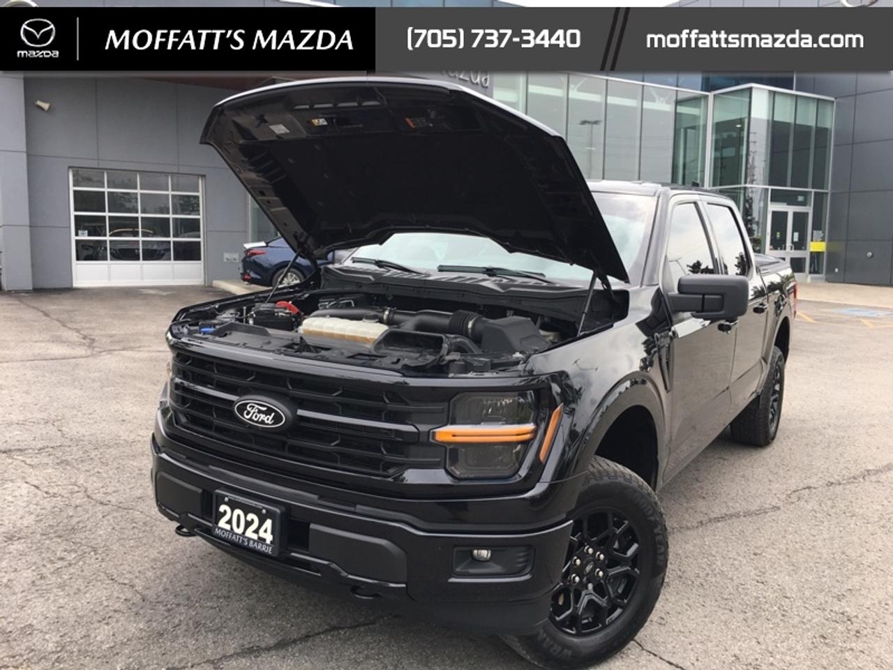 2024 Ford F-150 XLT Photo