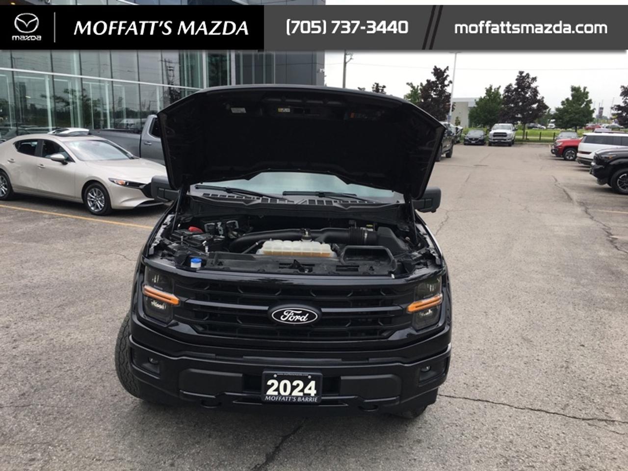 2024 Ford F-150 XLT Photo