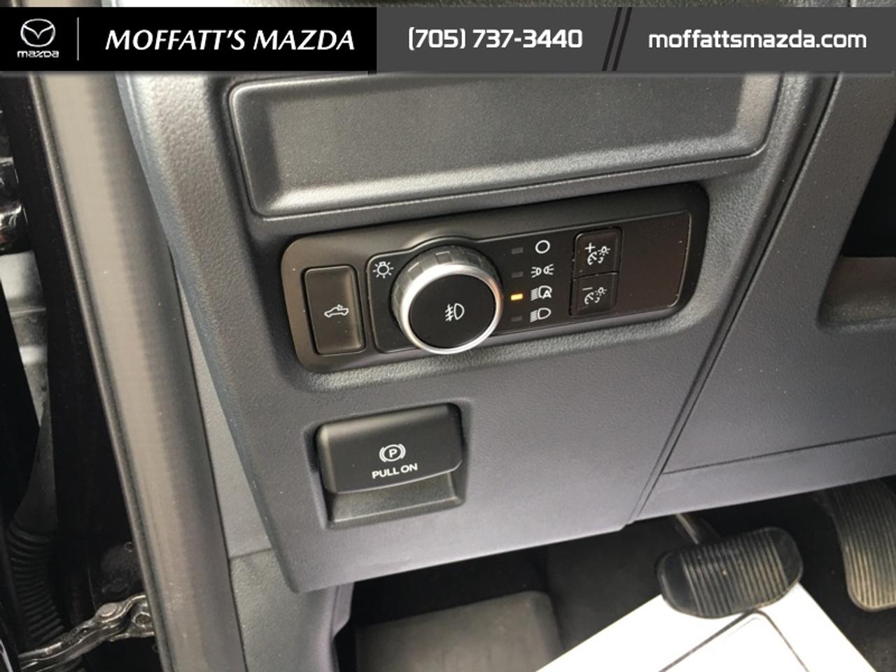 2024 Ford F-150 XLT Photo