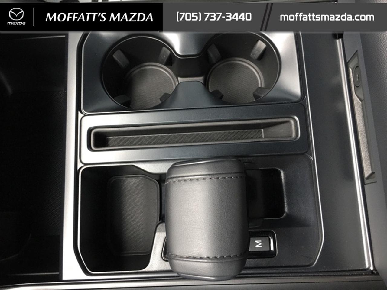 2024 Ford F-150 XLT Photo