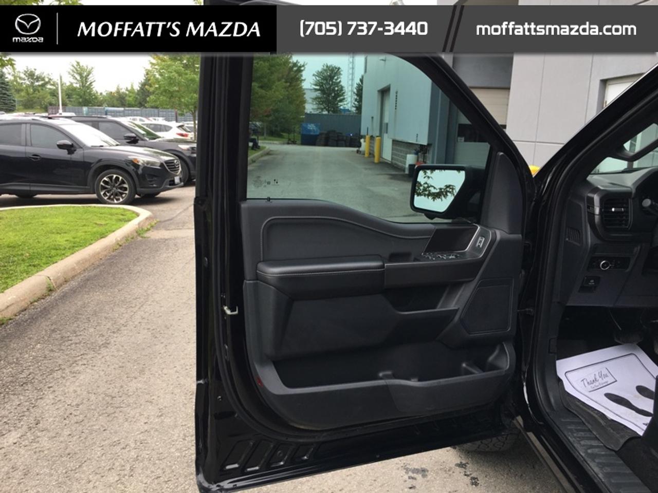 2024 Ford F-150 XLT Photo