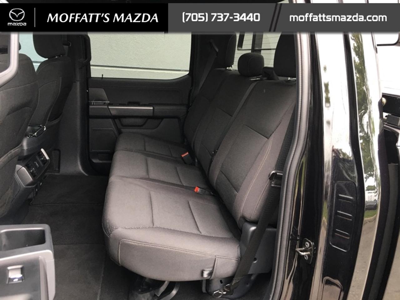 2024 Ford F-150 XLT Photo