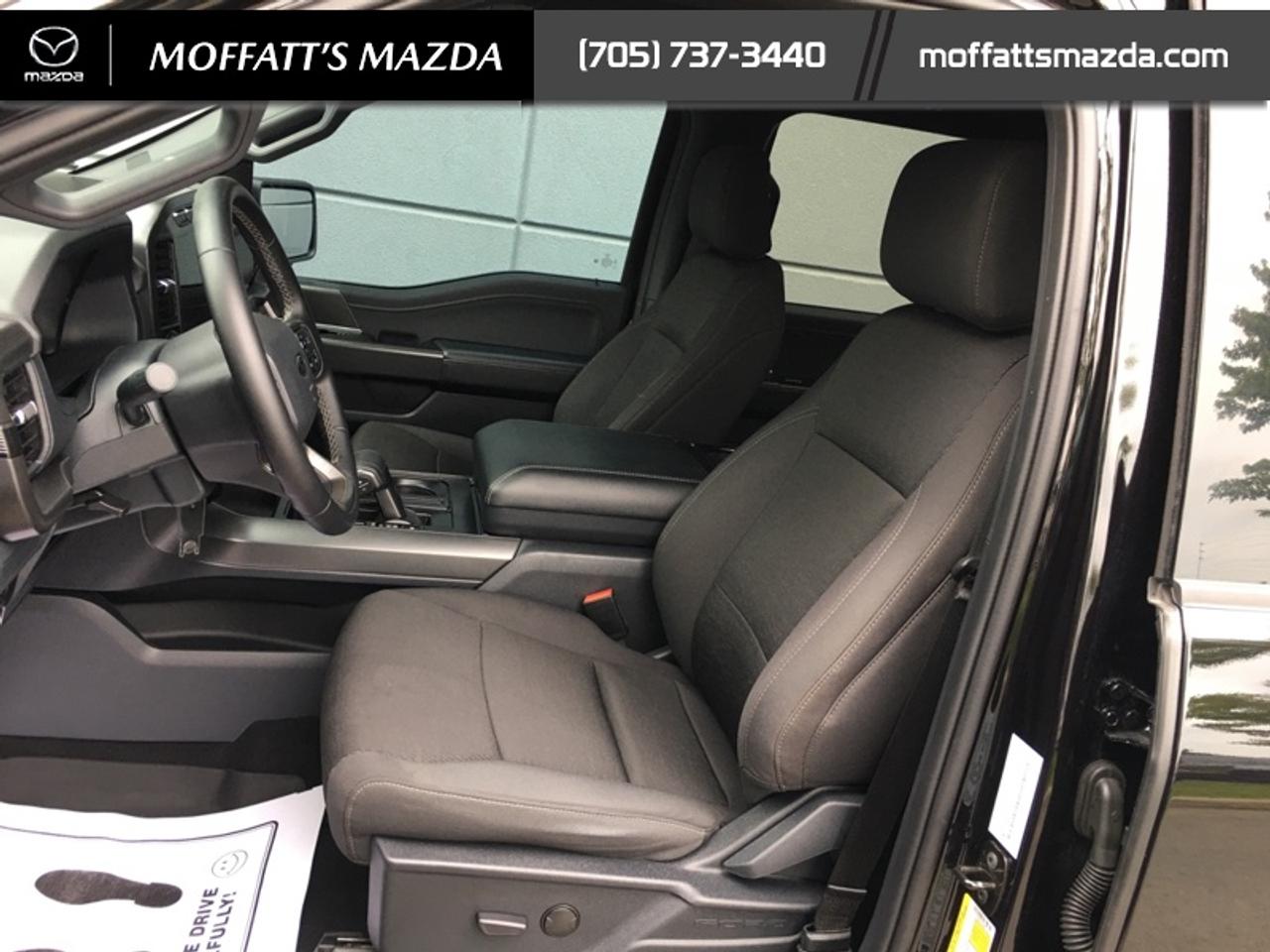 2024 Ford F-150 XLT Photo