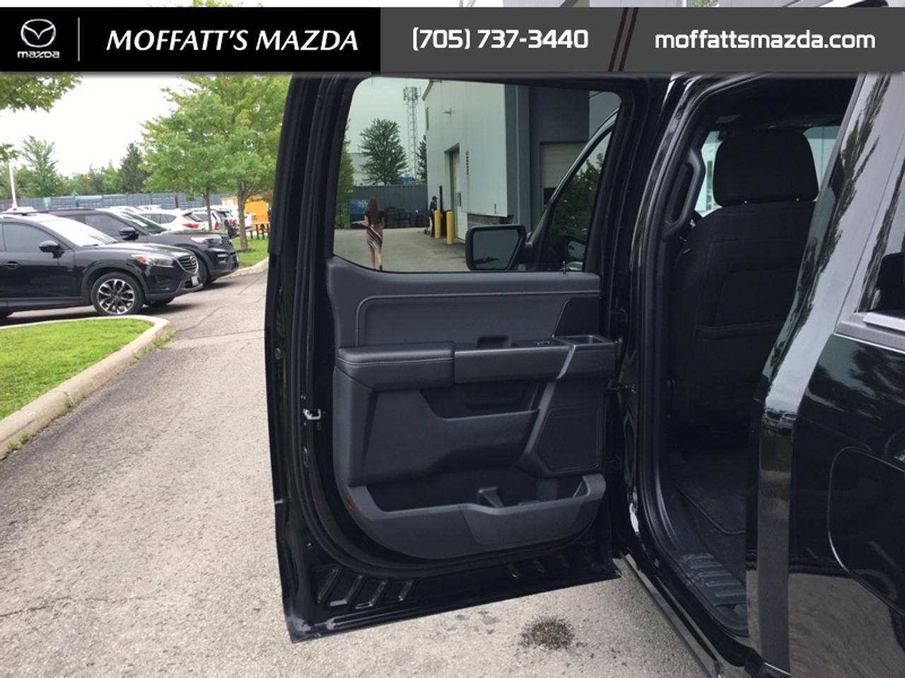2024 Ford F-150 XLT Photo