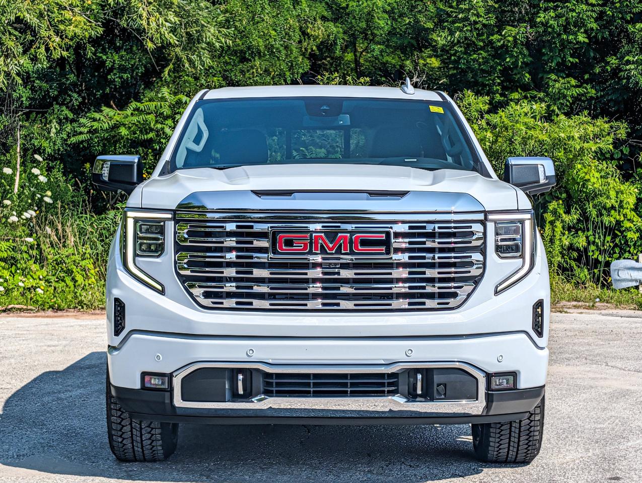 2026 GMC Sierra 1500 Denali Photo