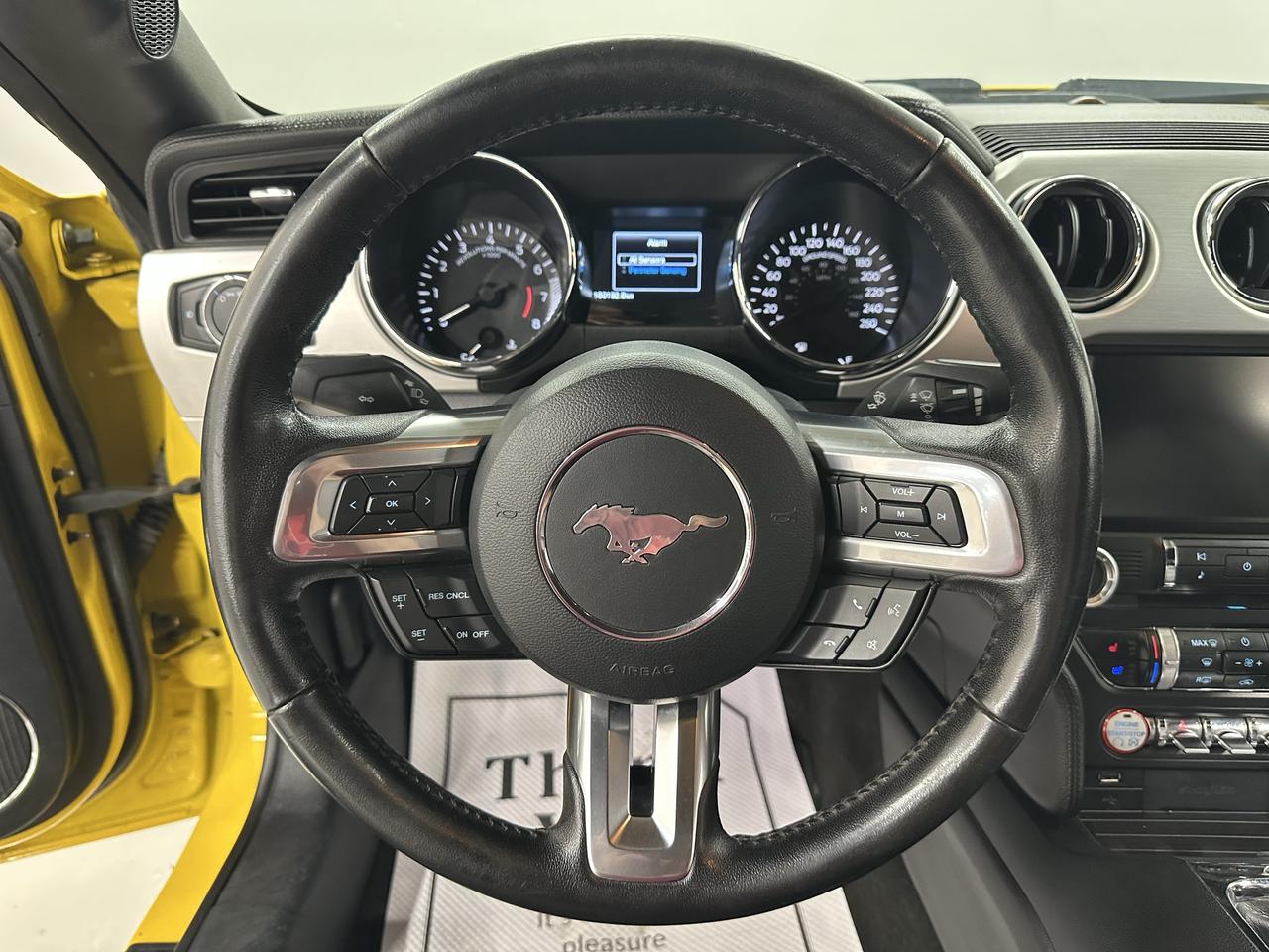2015 Ford Mustang GT Premium Photo9