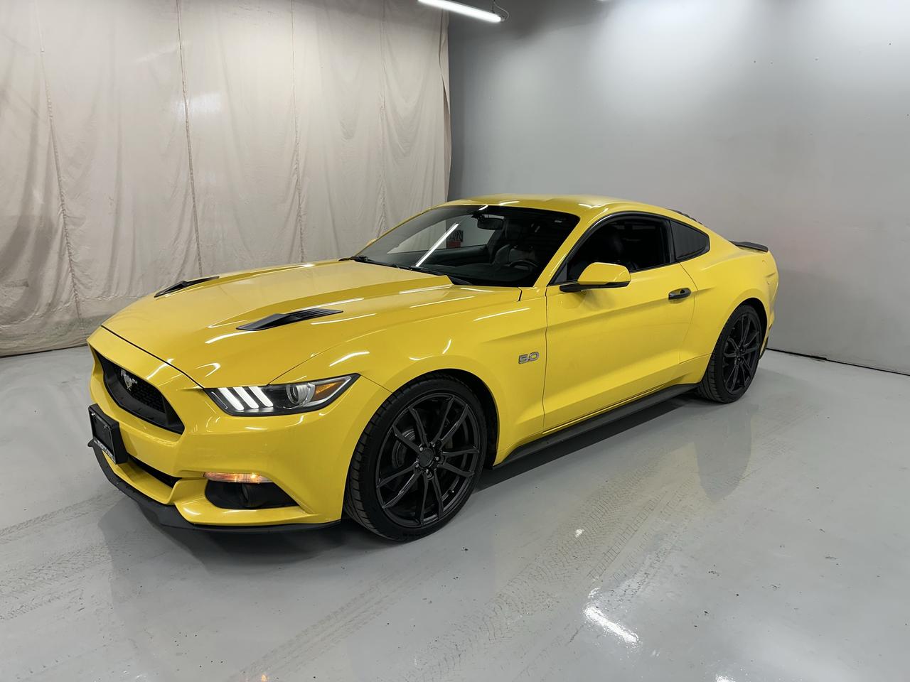 2015 Ford Mustang GT Premium Photo19