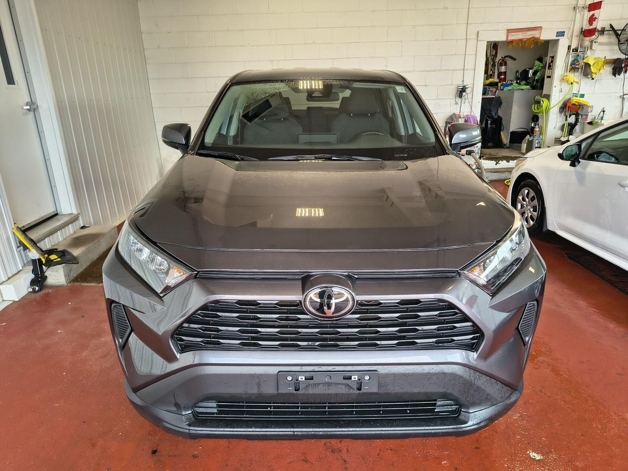 2023 Toyota RAV4 LE Photo0