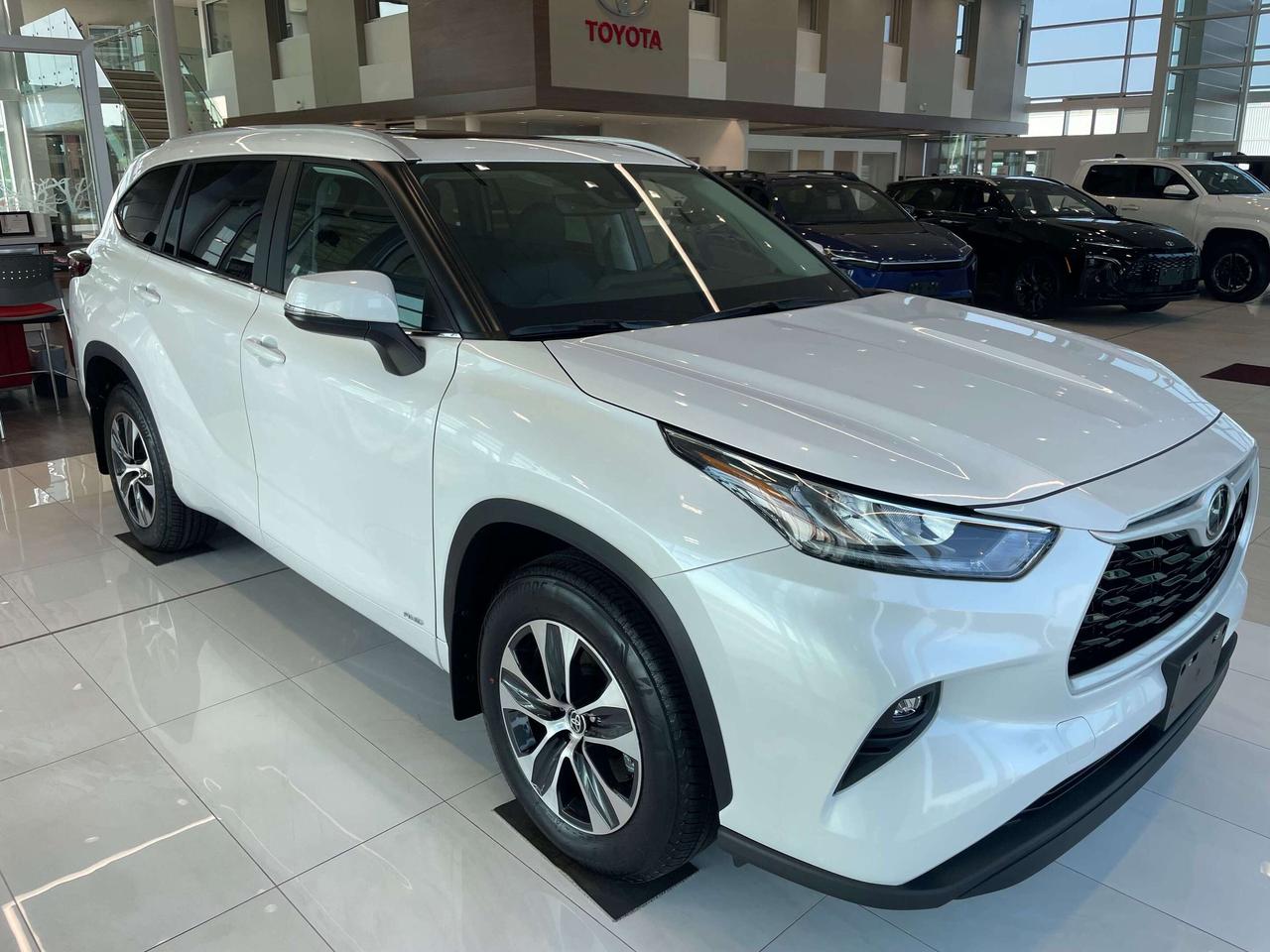 14585685.828798288