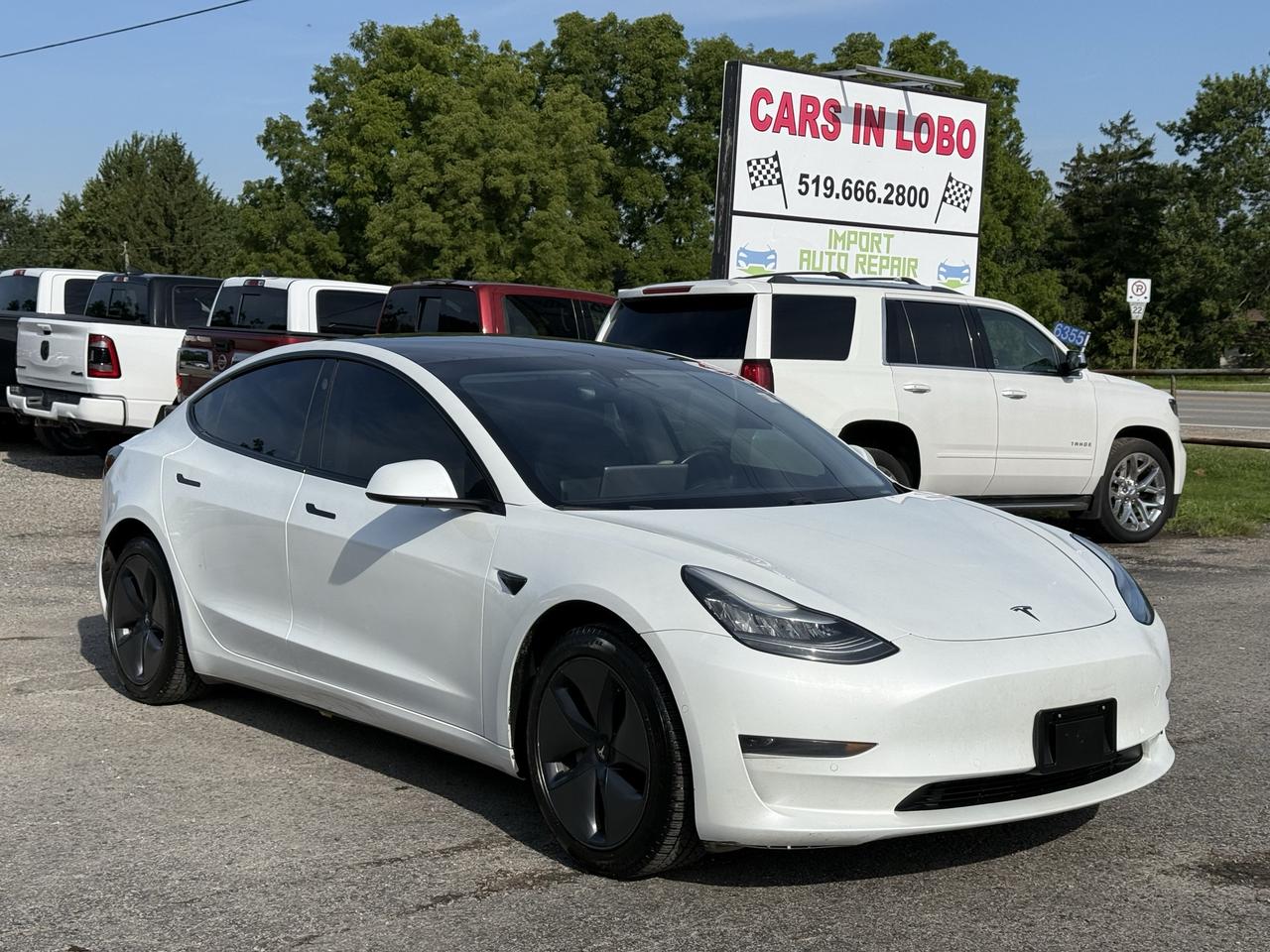 <p>2020 TESLA MODEL 3 Standard Range Plus RWD</p><p>Safety inspection included in the full asking price // Carfax available&nbsp;</p><p>2020 Tesla Model 3 Standard Range Plus RWD&nbsp; clean, stylish, and fun to drive! Enjoy the instant acceleration and smooth, quiet ride of Tesla&rsquo;s all electric powertrain with excellent range for daily commuting and road trips. This Model 3 features a modern minimalist interior, large touchscreen display, premium heated seats, panoramic glass roof, backup camera, Bluetooth, navigation.</p><p data-start=139 data-end=305><strong>CARS IN LOBO LTD.&nbsp; &ndash; Your trusted pre-owned vehicle destination!</strong></p><p>&nbsp;</p><p data-start=139 data-end=305><strong>Located at 6355 Egremont Dr, Komoka, ON N0L 1R0 &mdash; just 7 km west of Hyde Park Rd. Heading west on Fanshawe Park Rd as it becomes Egremont Dr, you&rsquo;ll find us at the traffic lights on the corner of Egremont Dr & Narin Rd in Middlesex county township of Lobo.&nbsp;</strong></p><p>&nbsp;</p><p data-start=139 data-end=305><strong>Serving London, Ontario/Middlesex County for over 10 years. A registered member of the UCDA (Used Car Dealers Association of Ontario) and fully licensed with OMVIC (Ontario Motor Vehicle Industry Council).</strong></p><p>&nbsp;</p><hr><p>&nbsp;</p><p data-start=139 data-end=305><strong><span style=font-size: 14pt;>CARS IN LOBO LTD. (Buy - Sell - Trade - Finance)&nbsp; </span><span style=font-size: 14pt;>Office#&nbsp; 519 666 2800 </span><span style=font-size: 14pt;>TEXT# 519 630 6660</span></strong></p><p>&nbsp;</p><hr><p>&nbsp;</p><p data-start=312 data-end=770><strong>- /Quality, locally sourced pre-owned vehicles at a competitive price<br>- /Safety certification Inspection included at the Full Asking Price! (unless listed otherwise)</strong><br><strong>- /We take all trade ins at a competitive & fair value&nbsp;</strong><br><strong>- /We buy cars outright with no purchase&nbsp;necessary</strong><br data-start=352 data-end=355><strong>- /CARFAX reports available on all cars</strong><br data-start=462 data-end=465><strong>- /Extended warranty options available</strong><br data-start=590 data-end=593><strong>- /Financing options available</strong><br data-start=642 data-end=645><strong>- /We register & plate your vehicle for you (Licensing Extra)</strong><br data-start=714 data-end=717><strong>- /No hidden fees. No pressure. Easy going team that is here to help.&nbsp;</strong></p><p>&nbsp;</p><p data-start=777 data-end=908><strong>Message us anytime or feel free to drop by! We are here to help make your next vehicle purchase simple and stress-free. -> OPEN 6 DAYS WEEK MONDAY - SATURDAY&nbsp;</strong></p><p>&nbsp;</p><p data-start=777 data-end=908>&nbsp;</p>