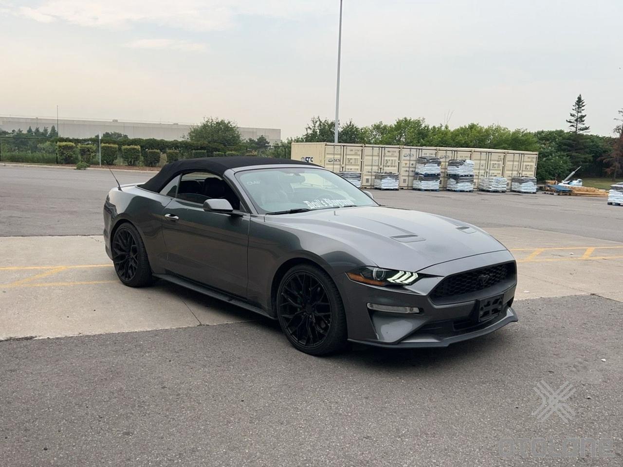 Used 2019 Ford Mustang ECOBOOST PREMIUM CONVERTIBLE-BLACK RIMS-LOADED for sale in Toronto, ON