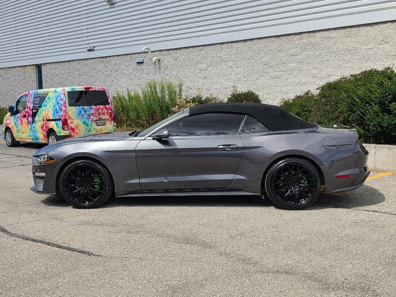 2019 Ford Mustang ECOBOOST PREMIUM CONVERTIBLE-BLACK RIMS-LOADED Photo