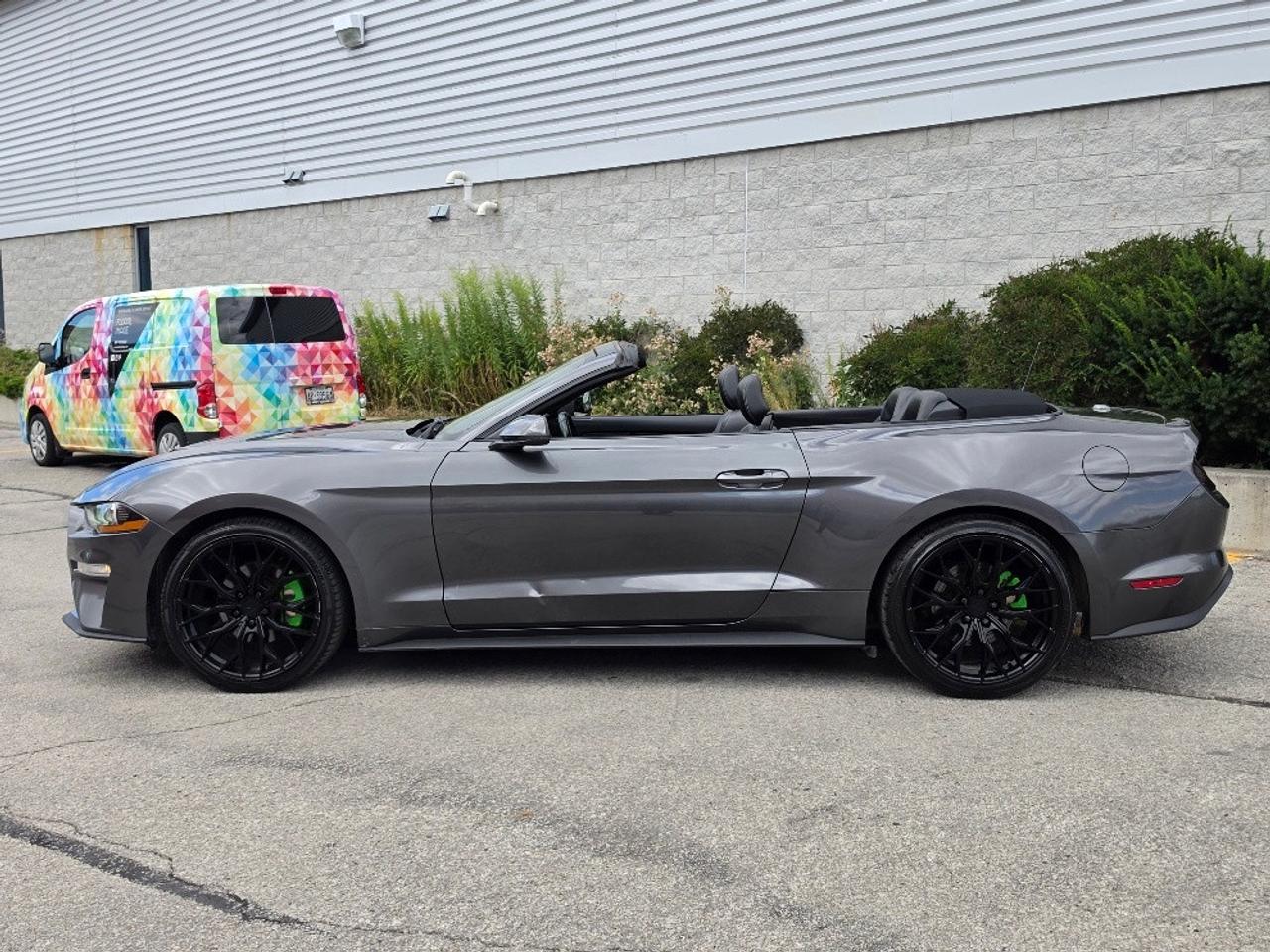 2019 Ford Mustang ECOBOOST PREMIUM CONVERTIBLE-BLACK RIMS-LOADED Photo