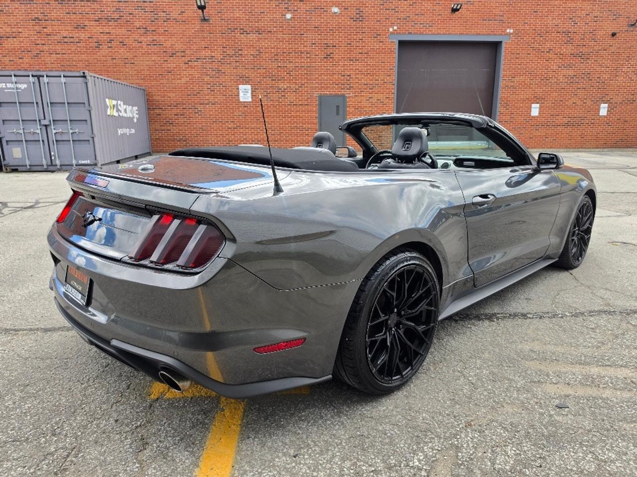 2019 Ford Mustang ECOBOOST PREMIUM CONVERTIBLE-BLACK RIMS-LOADED Photo