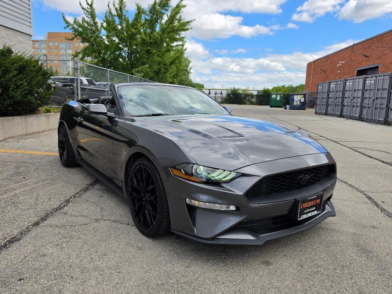 2019 Ford Mustang ECOBOOST PREMIUM CONVERTIBLE-BLACK RIMS-LOADED Photo