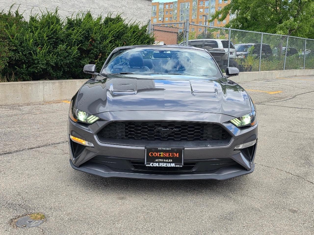 2019 Ford Mustang ECOBOOST PREMIUM CONVERTIBLE-BLACK RIMS-LOADED Photo
