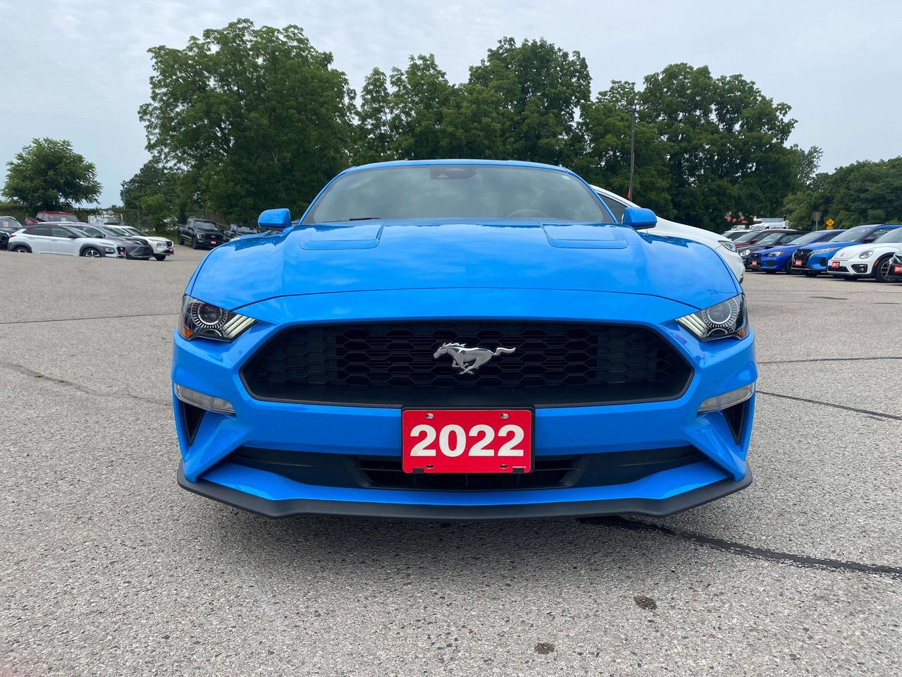 2022 Ford Mustang ECOBOOST, CLEAN CARFAX, BACK UP CAM, HEATED SEATS! Photo