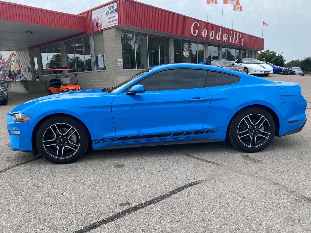 2022 Ford Mustang ECOBOOST, CLEAN CARFAX, BACK UP CAM, HEATED SEATS! - Photo #5