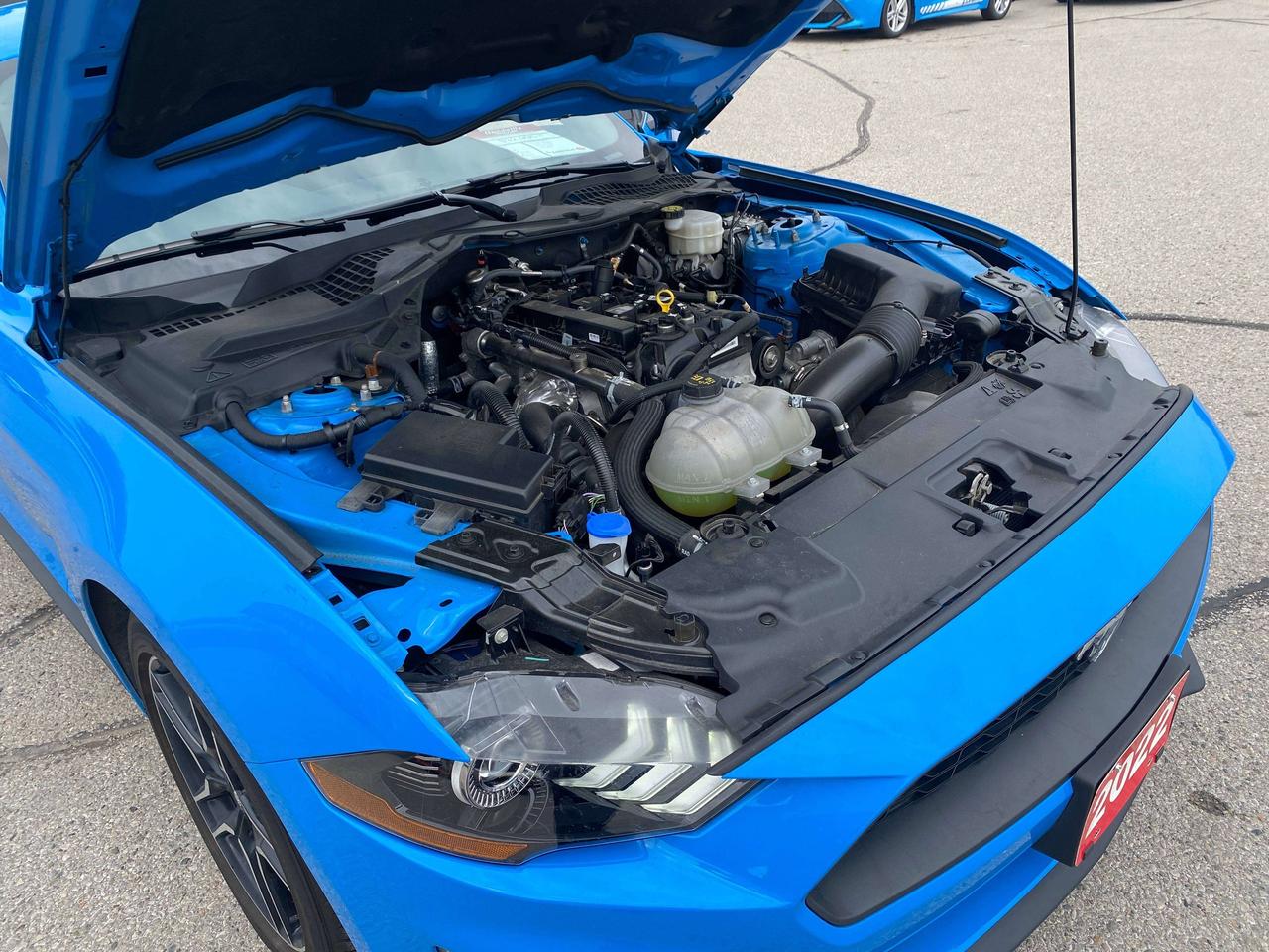 2022 Ford Mustang ECOBOOST, CLEAN CARFAX, BACK UP CAM, HEATED SEATS! Photo