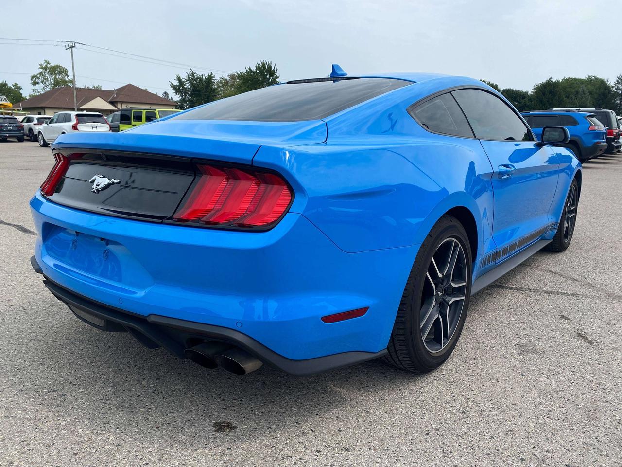 2022 Ford Mustang ECOBOOST, CLEAN CARFAX, BACK UP CAM, HEATED SEATS! Photo