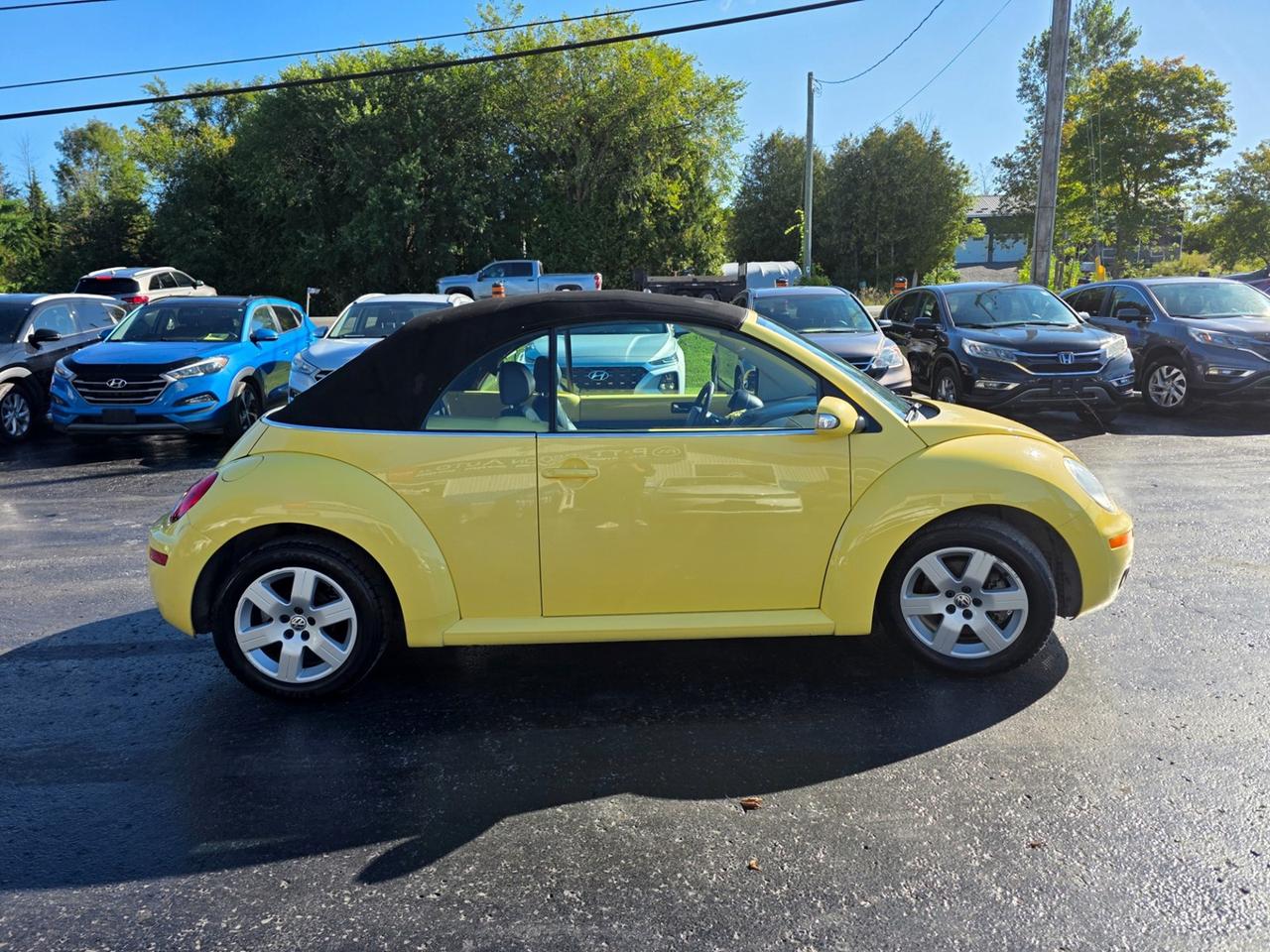 2007 Volkswagen New Beetle 2.5L Photo