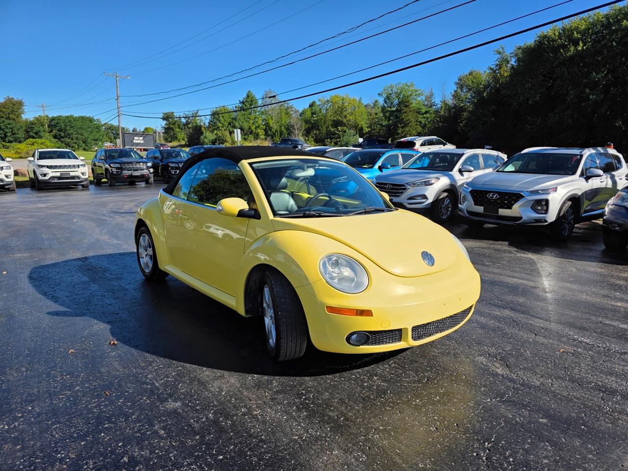 2007 Volkswagen New Beetle 2.5L Photo