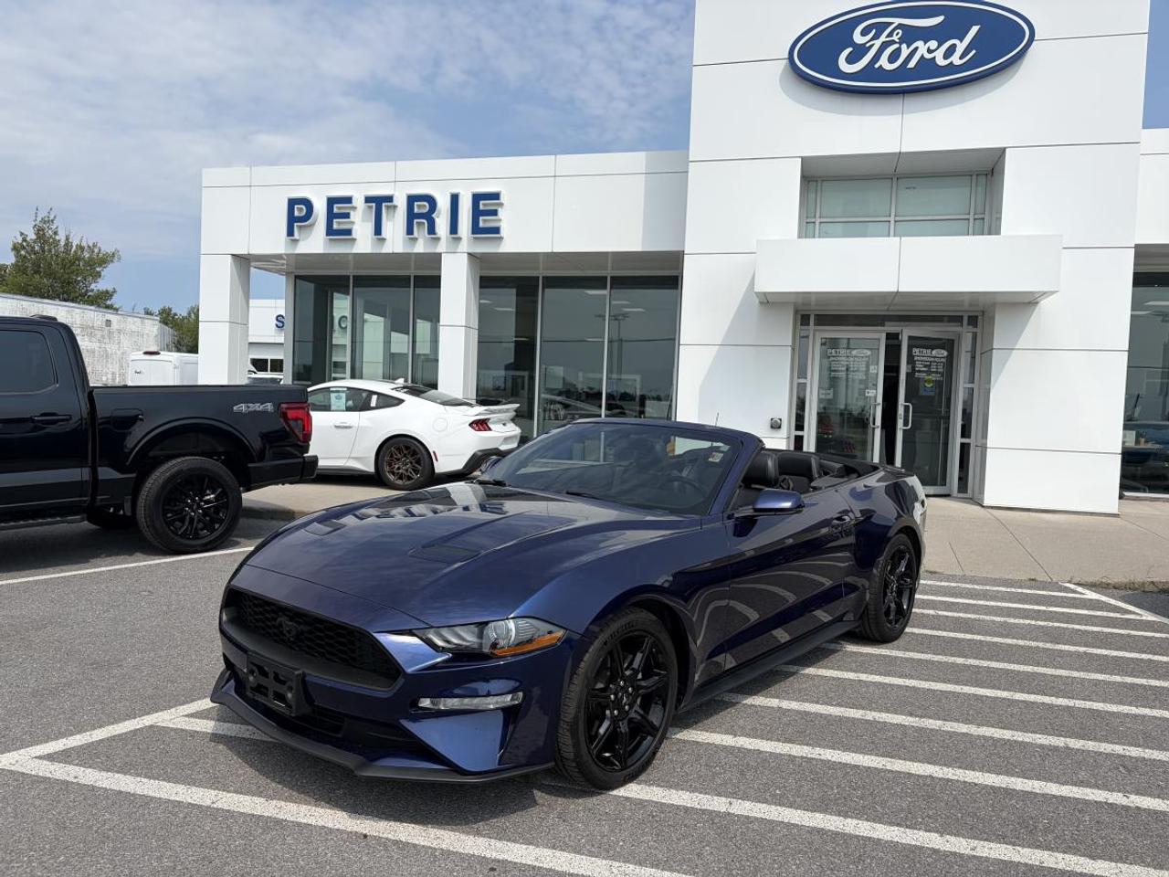 Used 2019 Ford Mustang EcoBoost Premium for sale in Kingston, ON