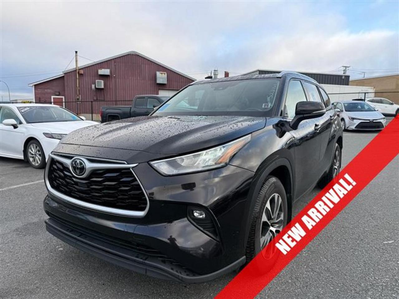 Small SUV 4WD, XLE AWD, 8-Speed Automatic w/OD, Regular Unleaded V-6 3.5 L/211