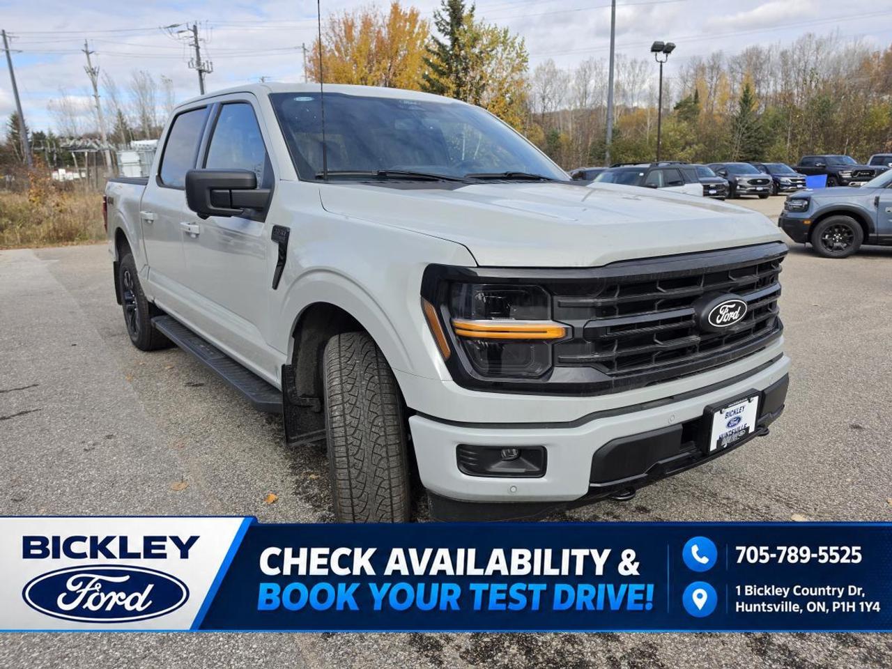 2026 Ford F-150 XLT Photo