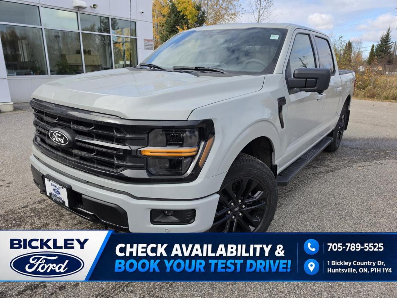 2026 Ford F-150 XLT Photo