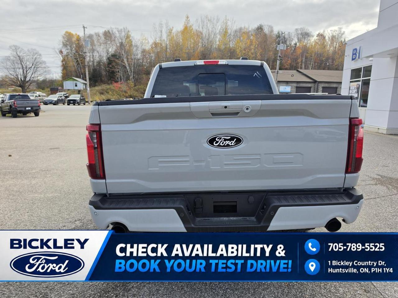 2026 Ford F-150 XLT Photo